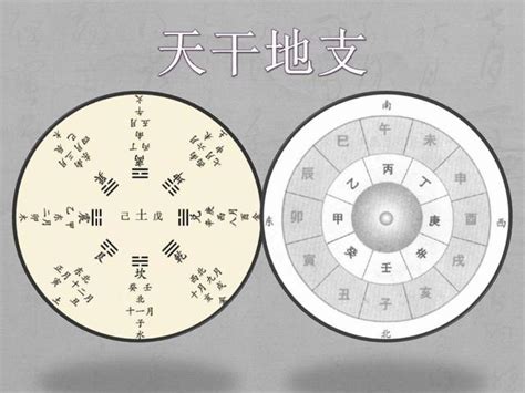 天干地支 屬性|【基礎教學】認識天干地支｜13點讓你快速了解天干地